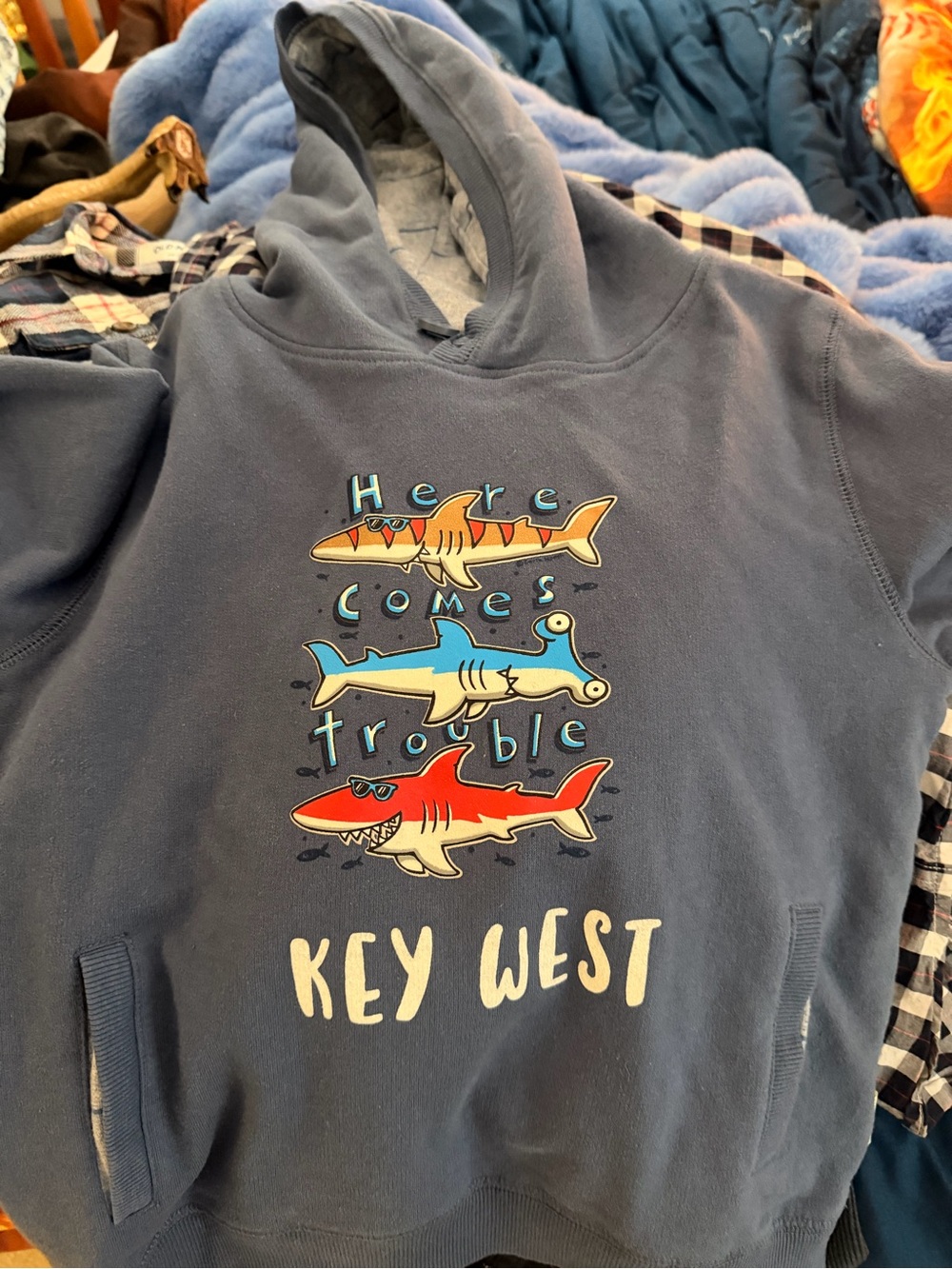Boys Hoodie with Colorful Shark Graphic - Key West “Here comes trouble”